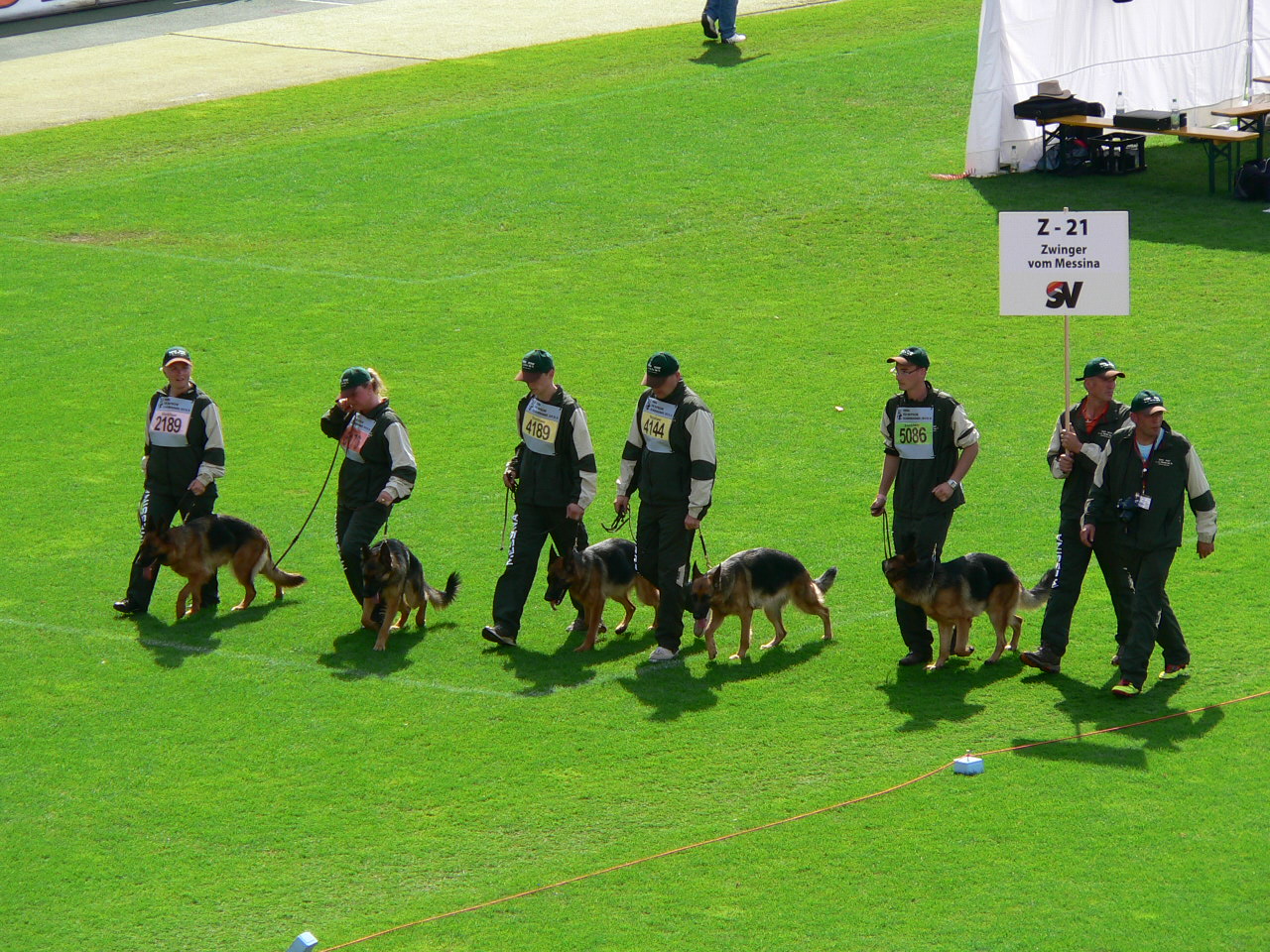 zuchtgruppe vom Messina